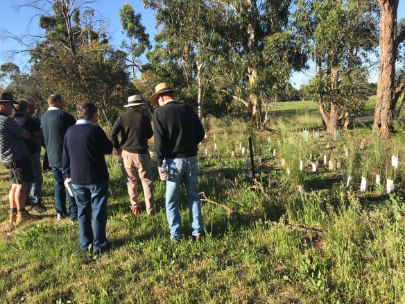 20171127_074741842_iOS