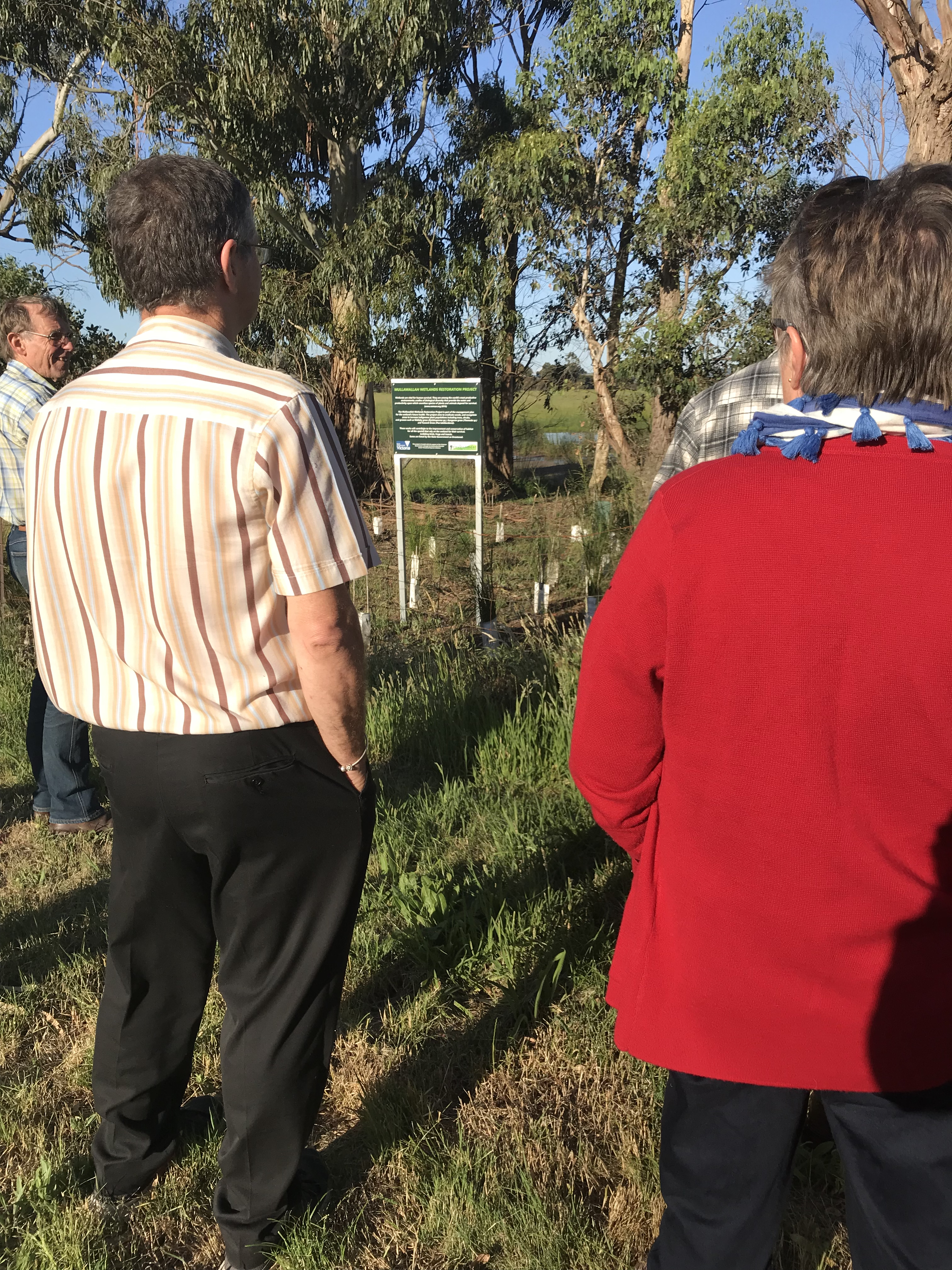 20171127_074757482_iOS